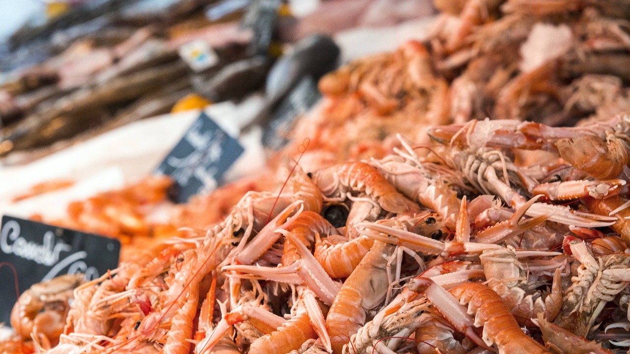 A Lorient, deux visites de nuit pour tout savoir sur la pèche à la...